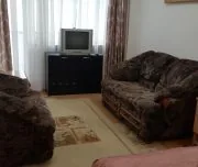 Голубые Ели миниатюра 7
