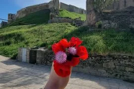 Архыз + Домбай – горное путешествие миниатюра 5