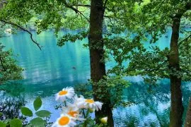 Плато Лаго-Наки миниатюра 2