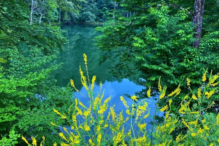 Голубые озера + Аушигер миниатюра 6