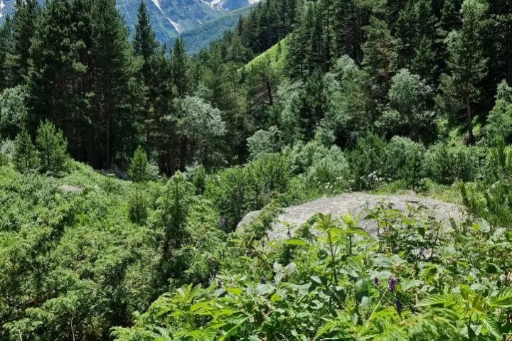 Треккинг на водопад Терскол миниатюра 6