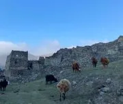 Дигорское ущелье миниатюра 9