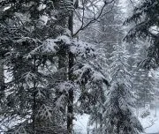Архыз миниатюра 8