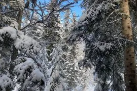 Паломническая программа по Турции миниатюра 3