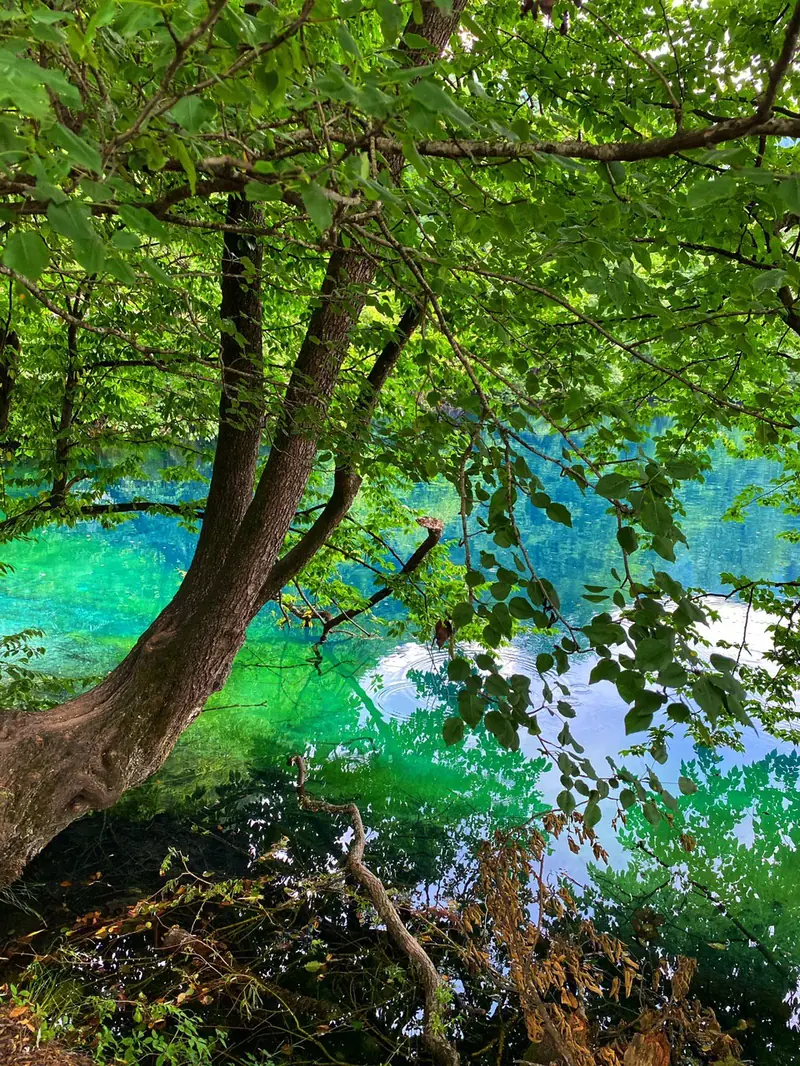 Голубые озера + Аушигер - главное фото